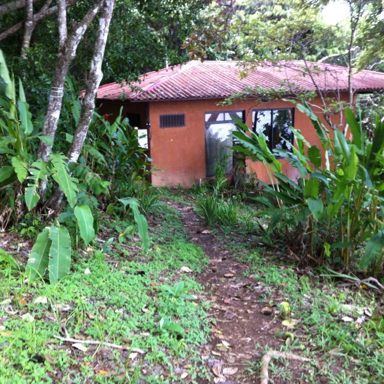 Howlers Bay Hotel Boca Chica Exteriér fotografie